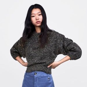 Zara Sequin Sweater